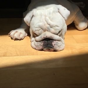 Meet your Posher, Barb